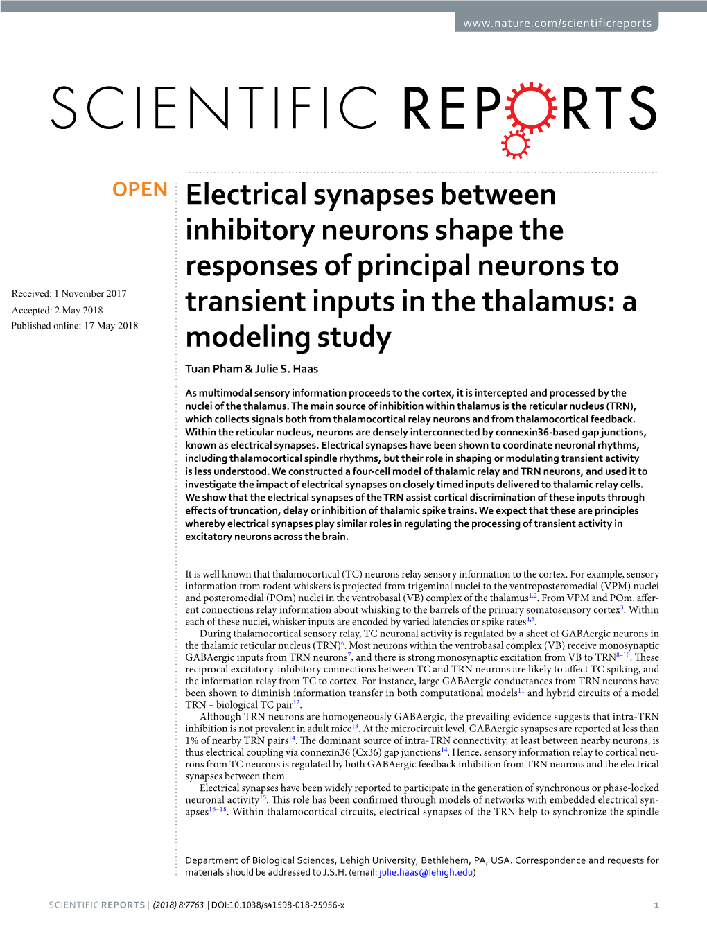 Electrical Synapses Between Inhibitory Neurons Shape The