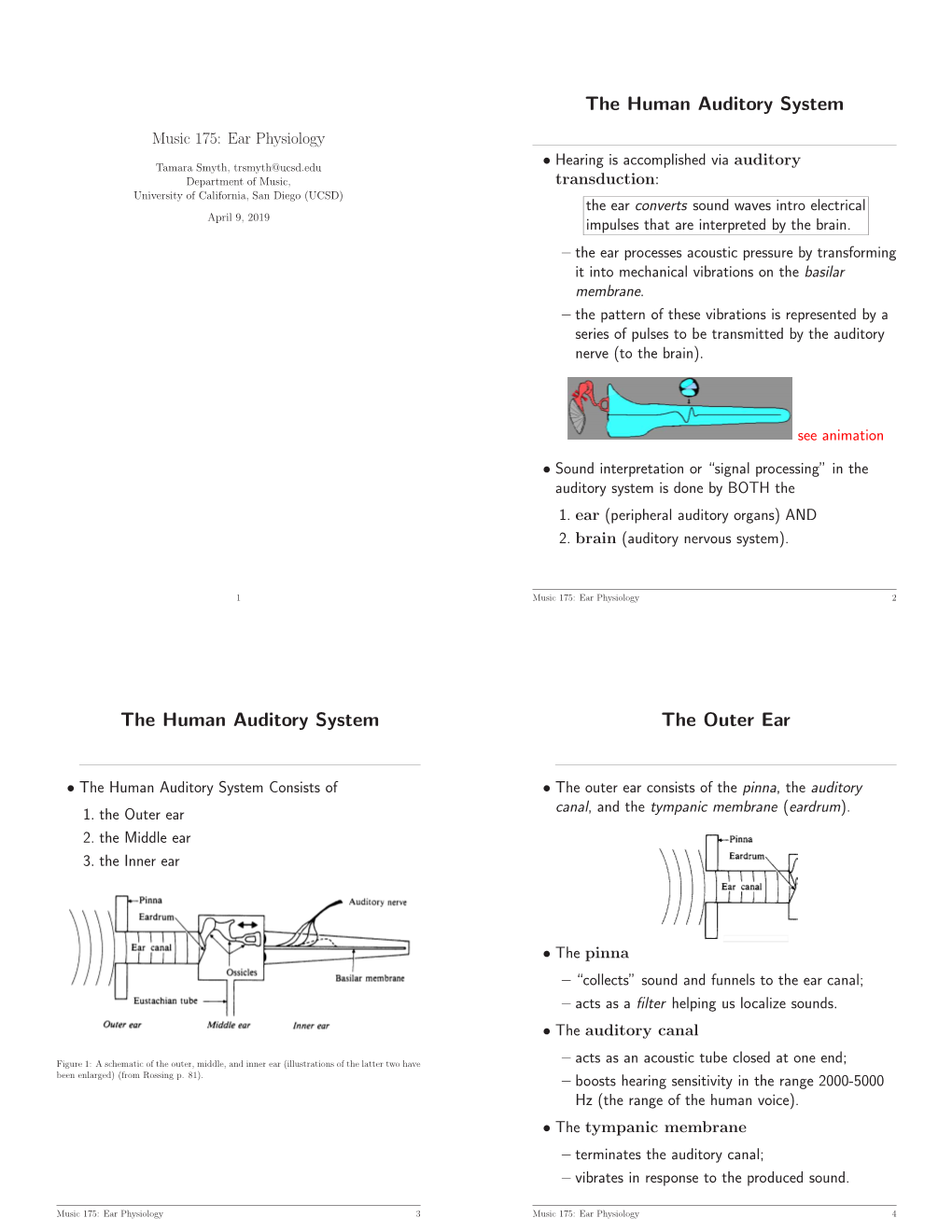 The Human Auditory System the Human Auditory System the Outer