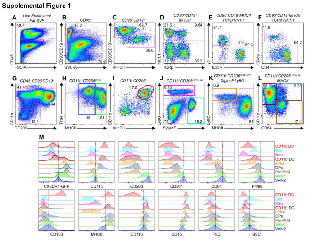 Supplemental Figure 1