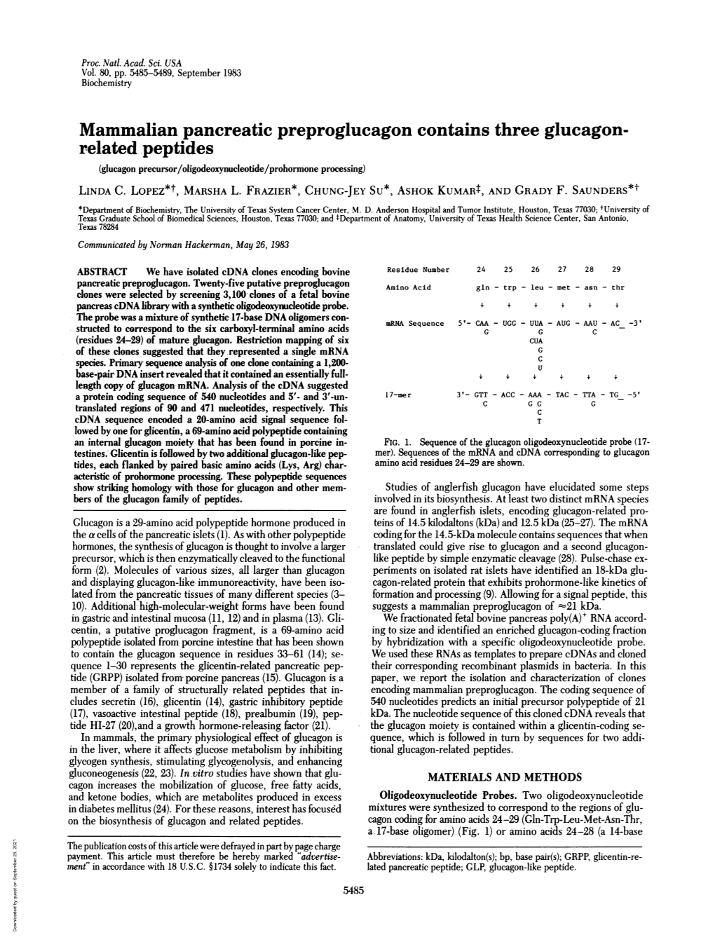 Mammalian Pancreatic Preproglucagon Contains Three Glucagon- Related Peptides (Glucagon Precursor/Oligodeoxynucleotide/Prohormone Processing) LINDA C