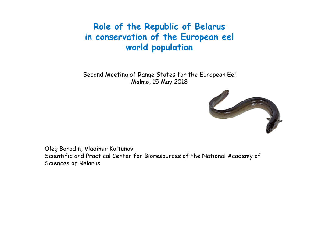 Belarus' Role in Conservation of the European Eel World Population