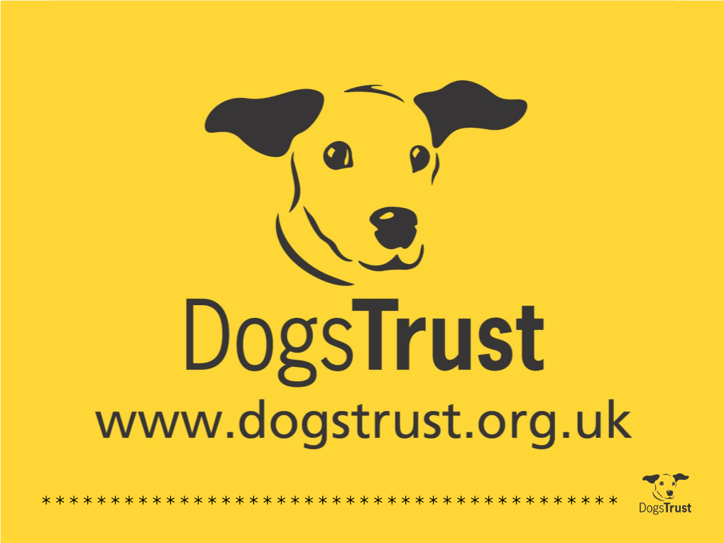 Dogs Trust Essex Adults Groups 20Mins