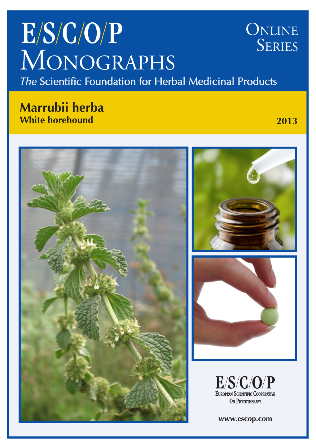 Monographs the Scientific Foundation for Herbal Medicinal Products