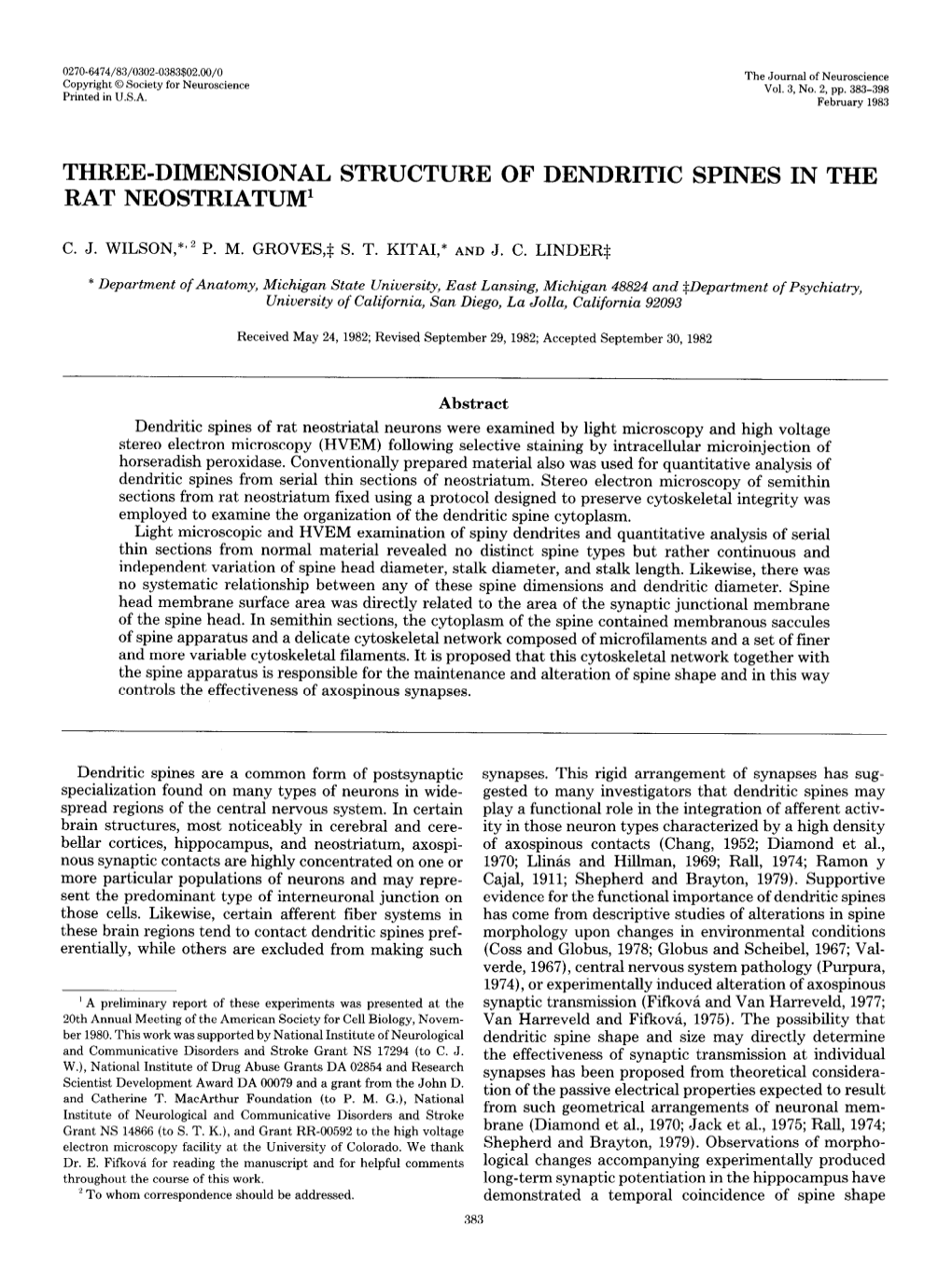 Three-Dimensional Structure of Dendritic Spines in the Rat Neostriatum’