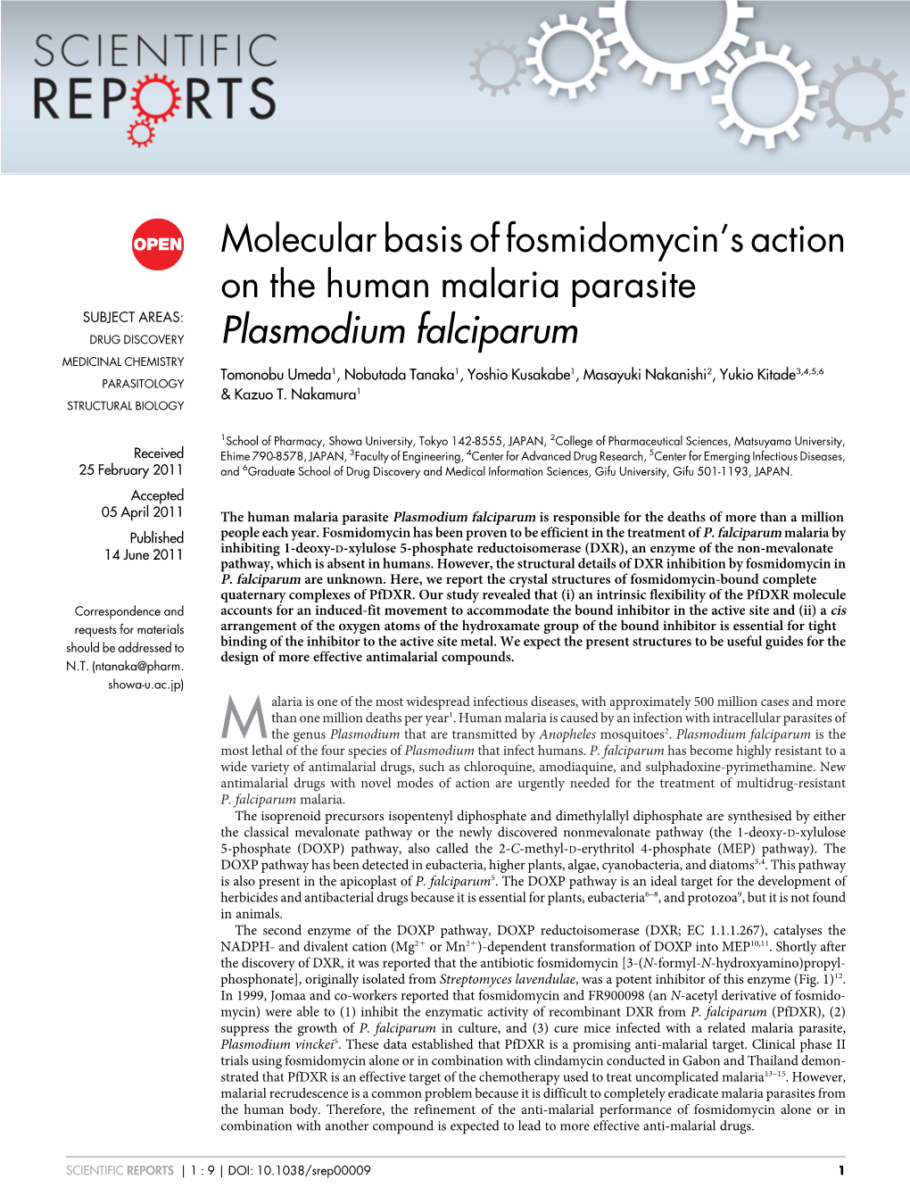 Molecular Basis of Fosmidomycin's Action on the Human Malaria