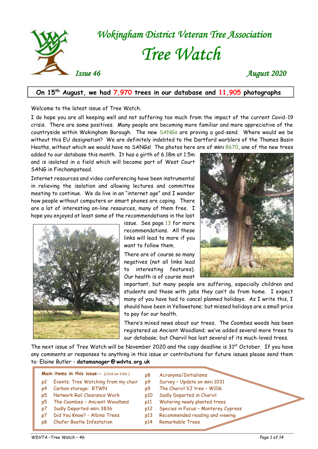 Tree Watch Issue 46 August 2020