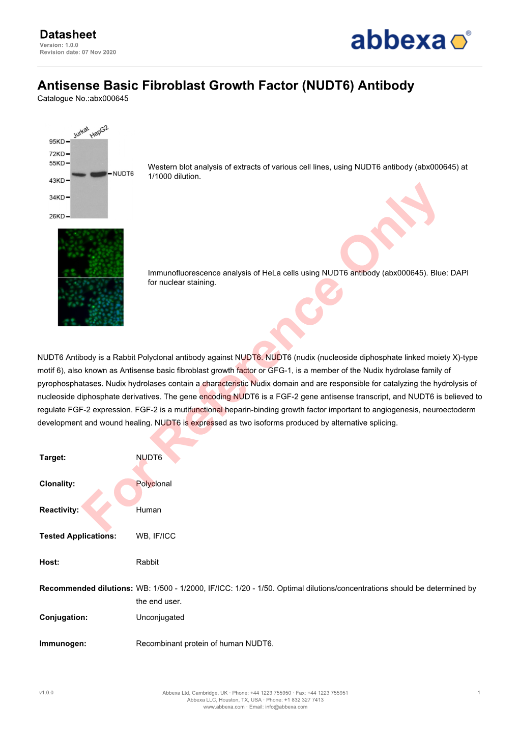 (NUDT6) Antibody Catalogue No.:Abx000645