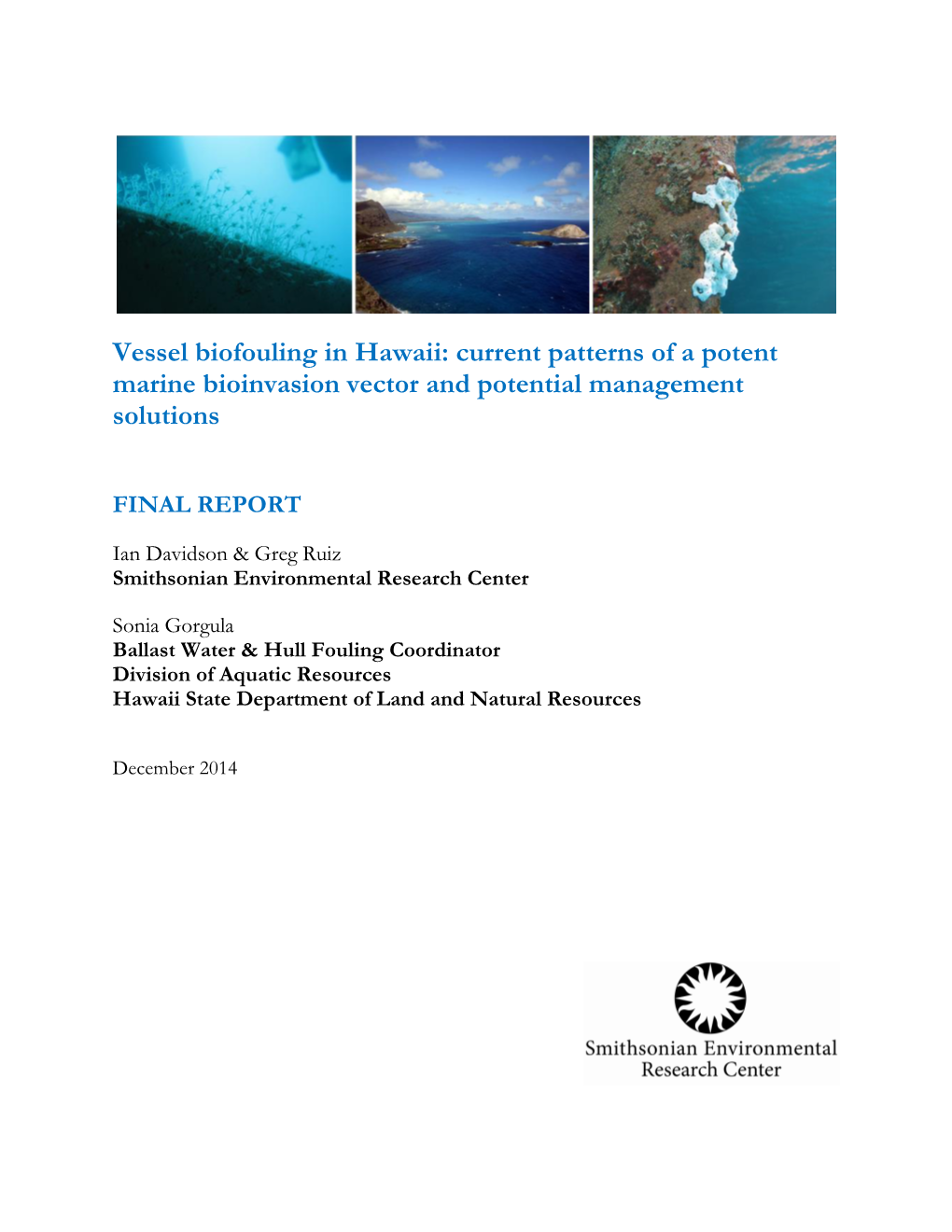 Vessel Biofouling in Hawaii: Current Patterns of a Potent Marine Bioinvasion Vector and Potential Management Solutions