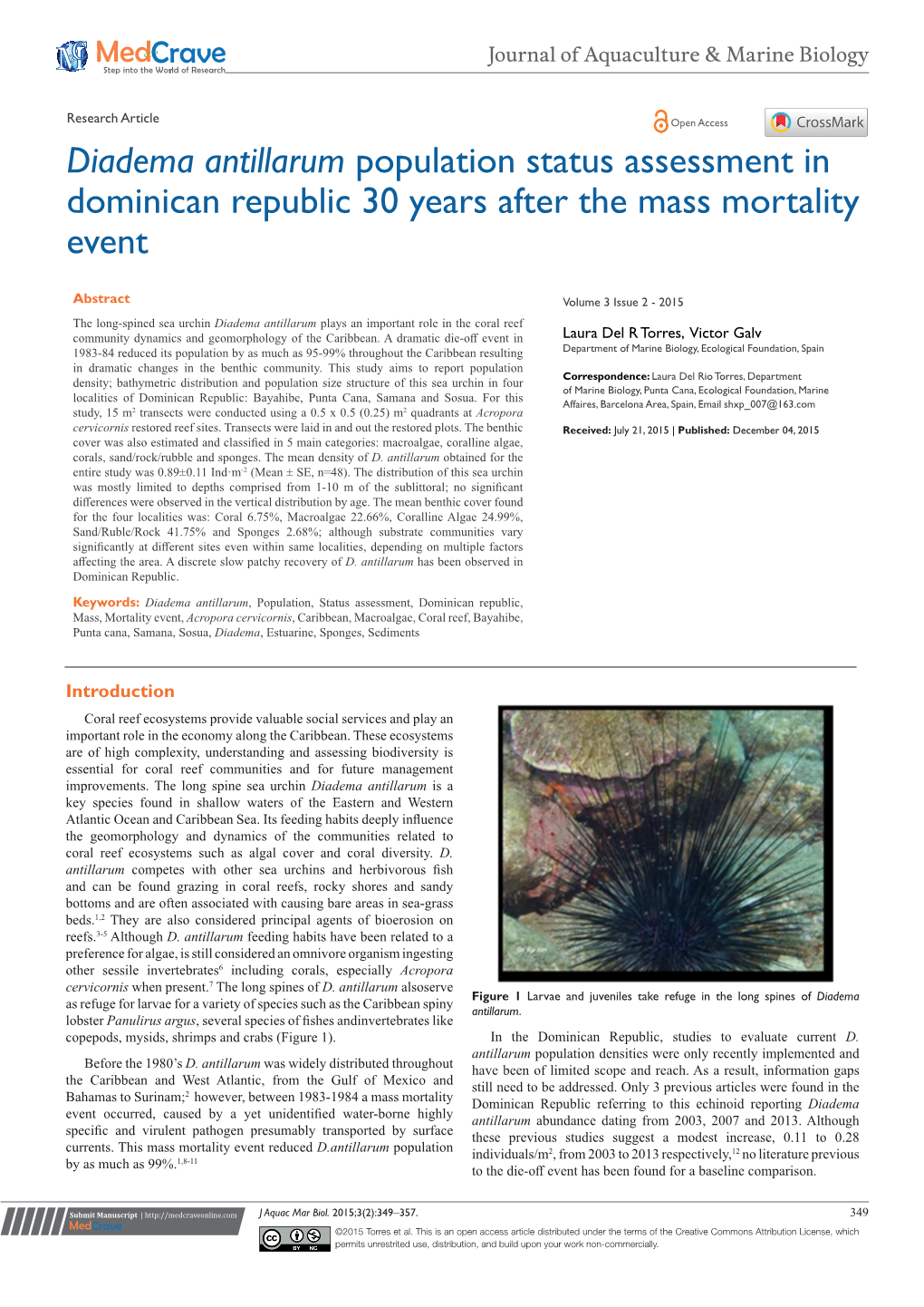 Diadema Antillarum Population Status Assessment in Dominican Republic 30 Years After the Mass Mortality Event