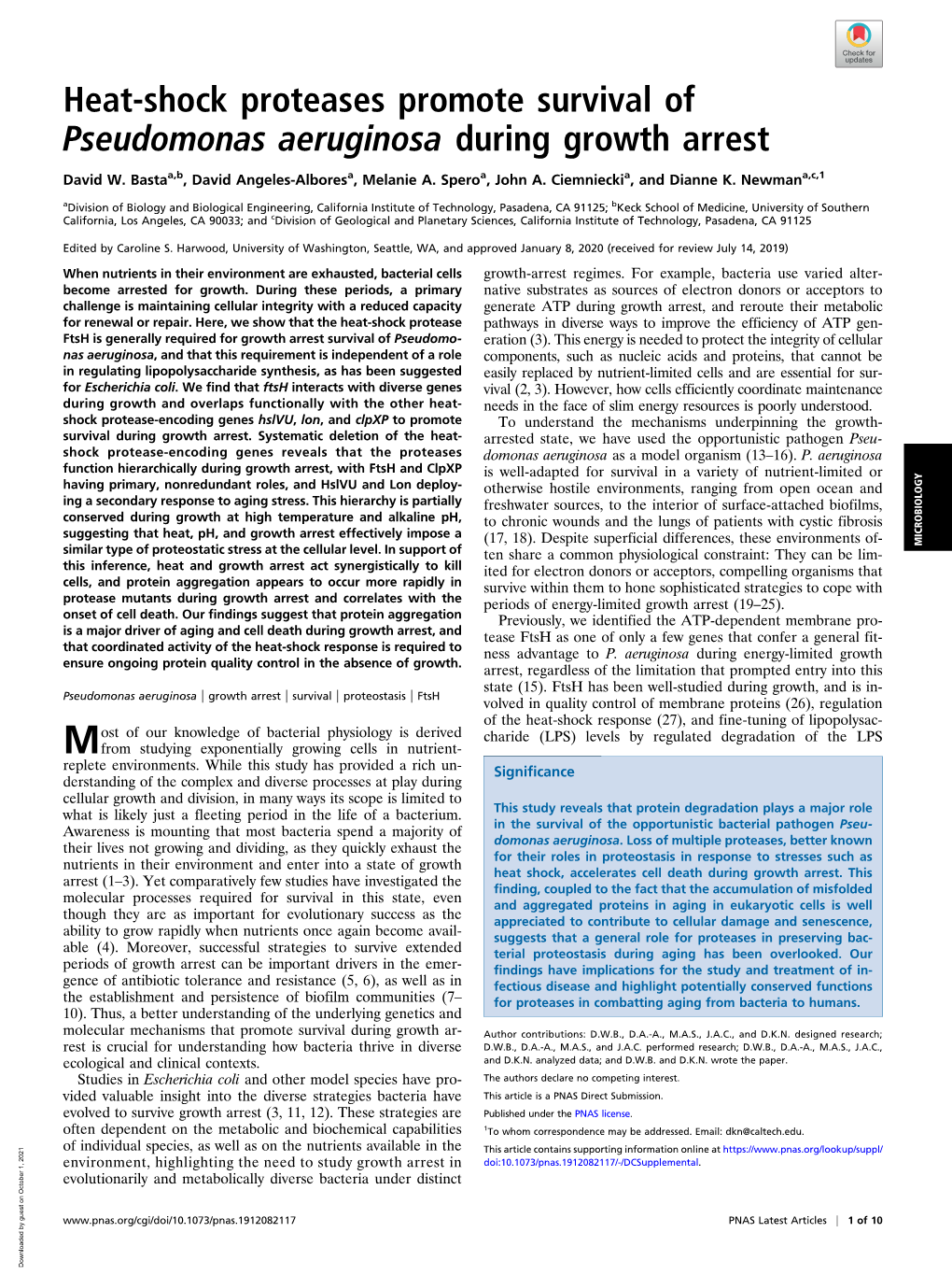 Heat-Shock Proteases Promote Survival of Pseudomonas Aeruginosa During Growth Arrest