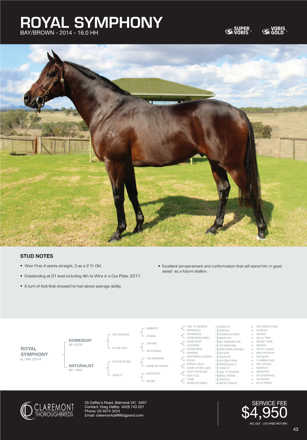 Stallion Brochure