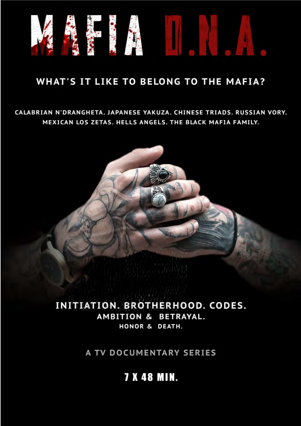 Mafias DNA Brochure 2019.Pdf