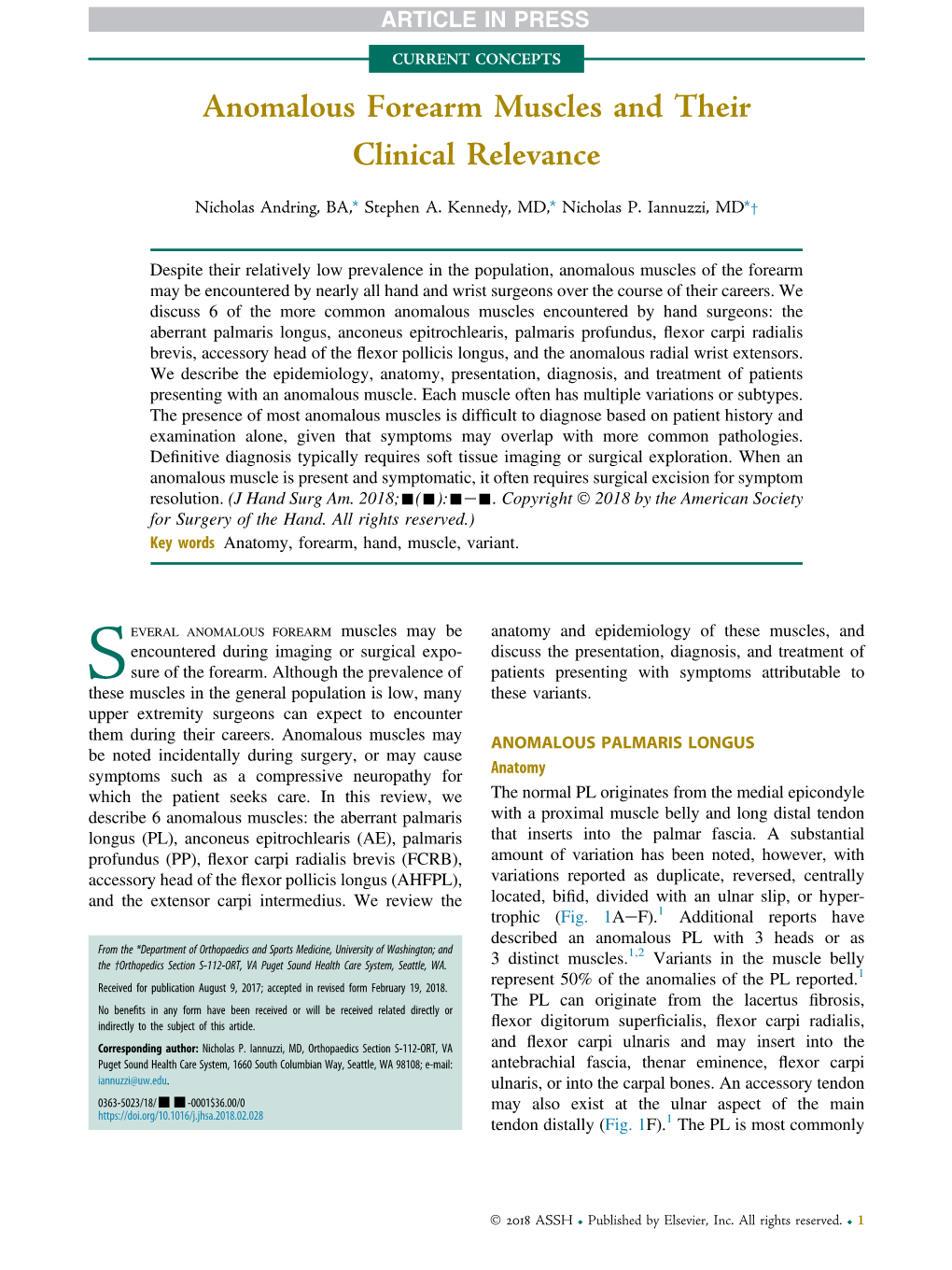 Anomalous Forearm Muscles and Their Clinical Relevance