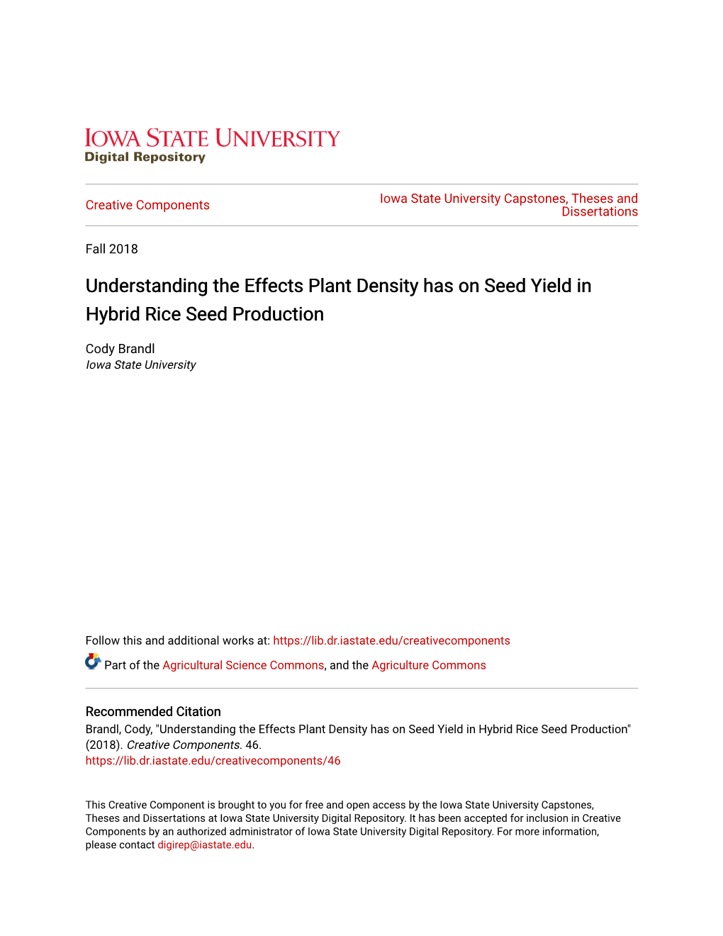 Understanding the Effects Plant Density Has on Seed Yield in Hybrid Rice Seed Production