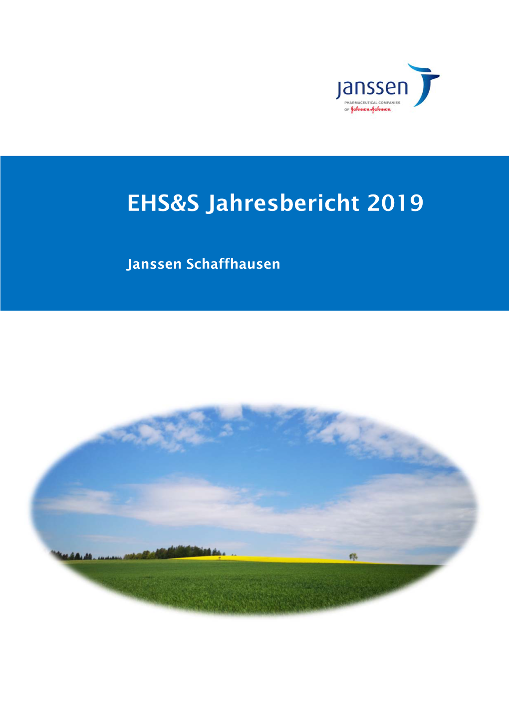 EHS&S Jahresbericht 2019