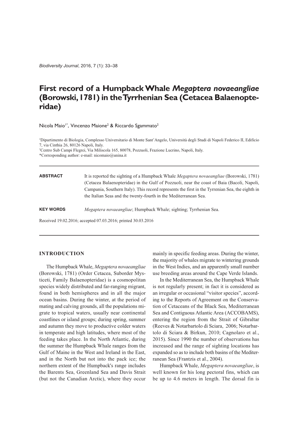 First Record of a Humpback Whale Megaptera Novaeangliae (Borowski, 1781) in the Tyrrhenian Sea (Cetacea Balaenopte - Ridae)