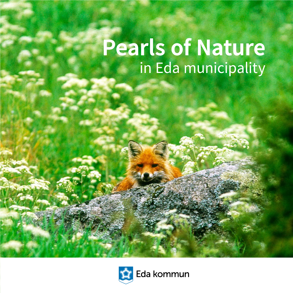 Pearls of Nature in Eda Municipality