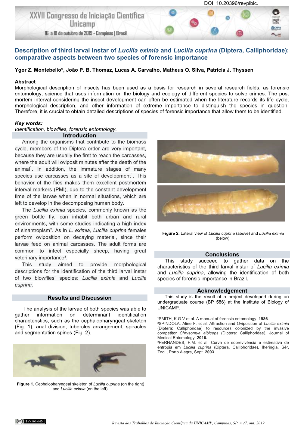 Description of Third Larval Instar of Lucilia Eximia and Lucilia Cuprina (Diptera, Calliphoridae): Comparative Aspects Between Two Species of Forensic Importance