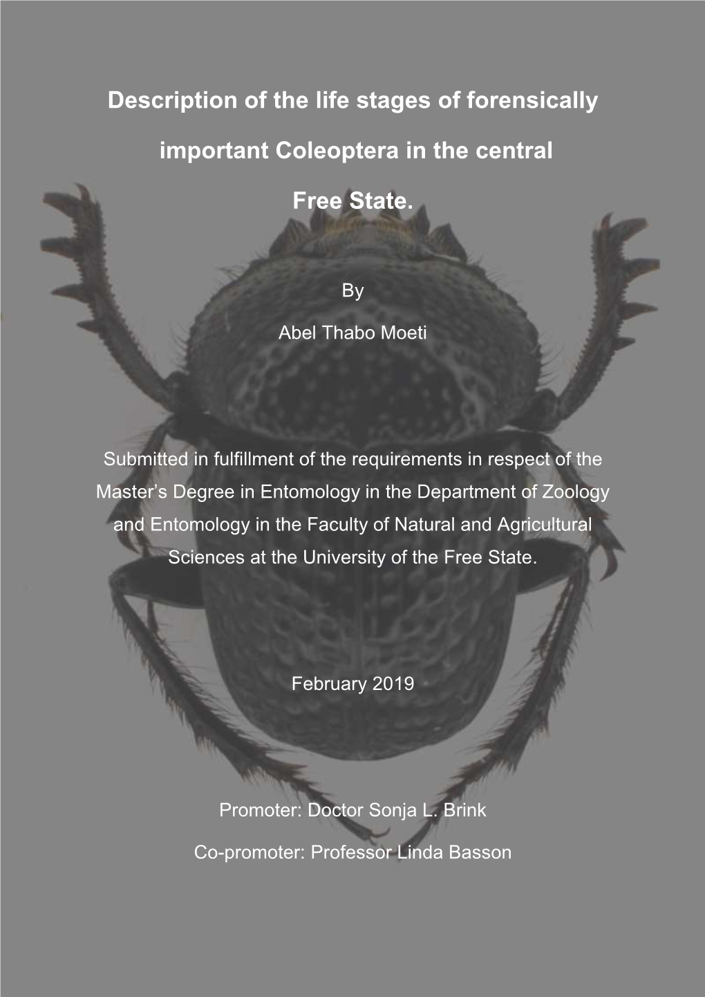 Description of the Life Stages of Forensically Important Coleoptera In