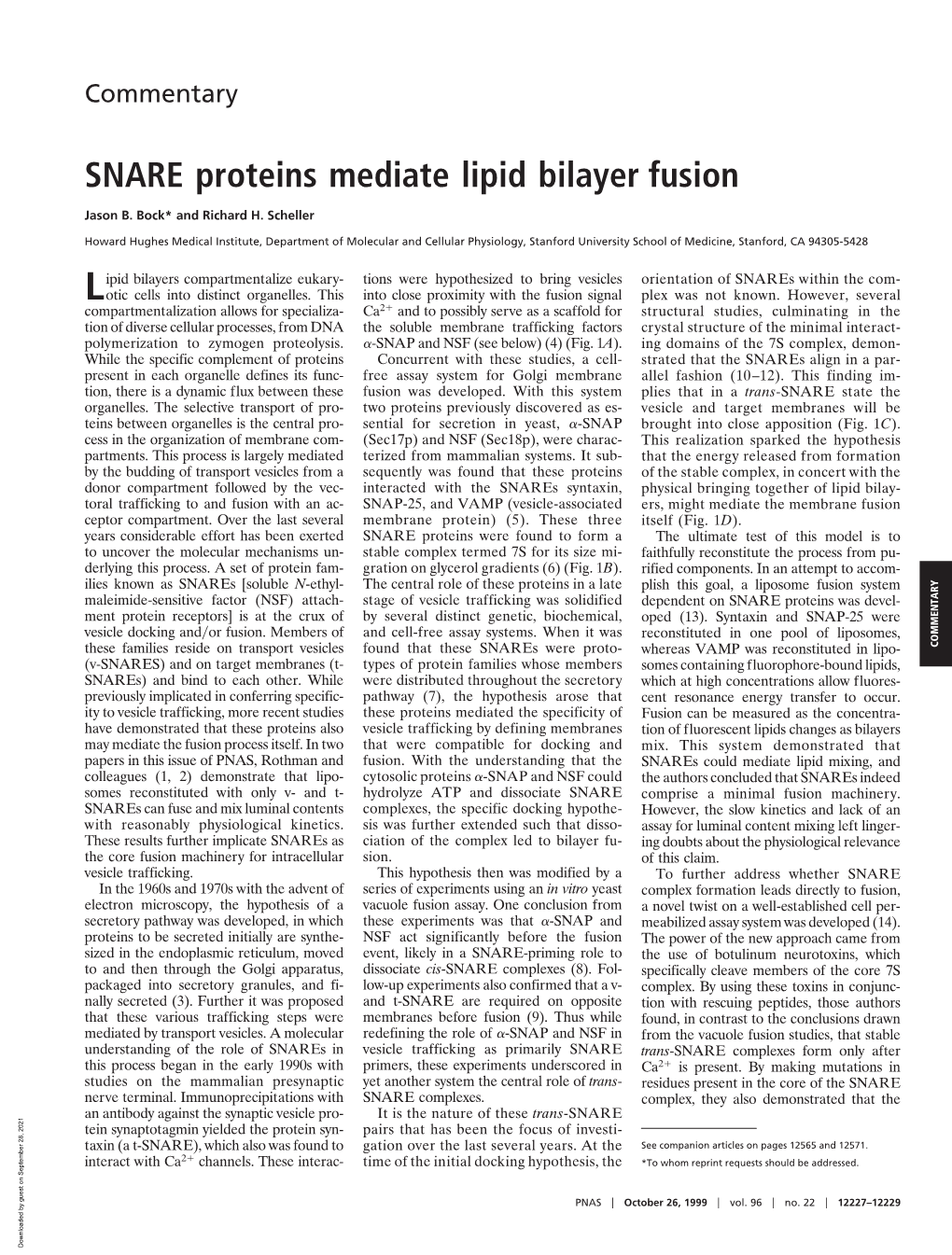 SNARE Proteins Mediate Lipid Bilayer Fusion