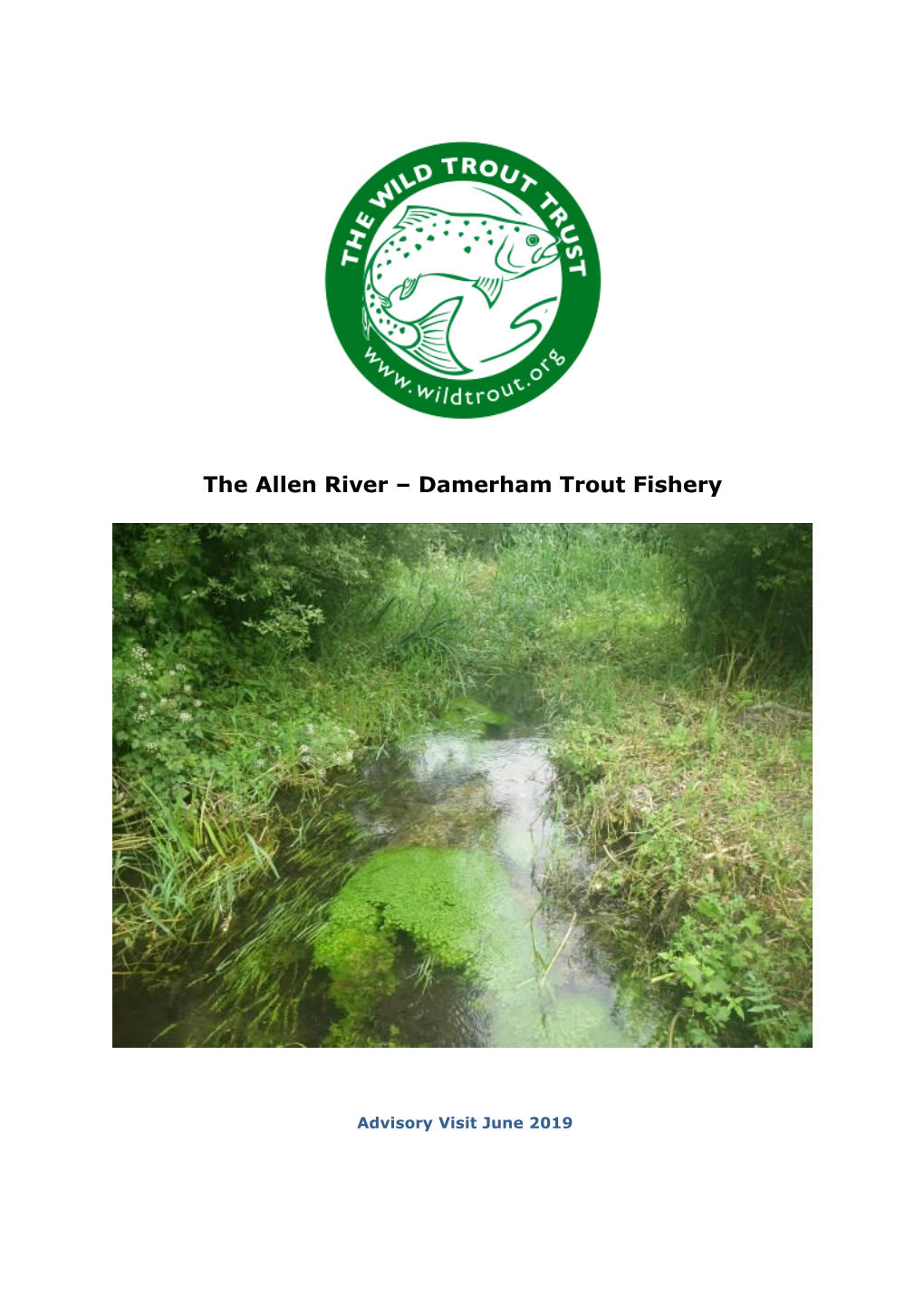The Allen River – Damerham Trout Fishery