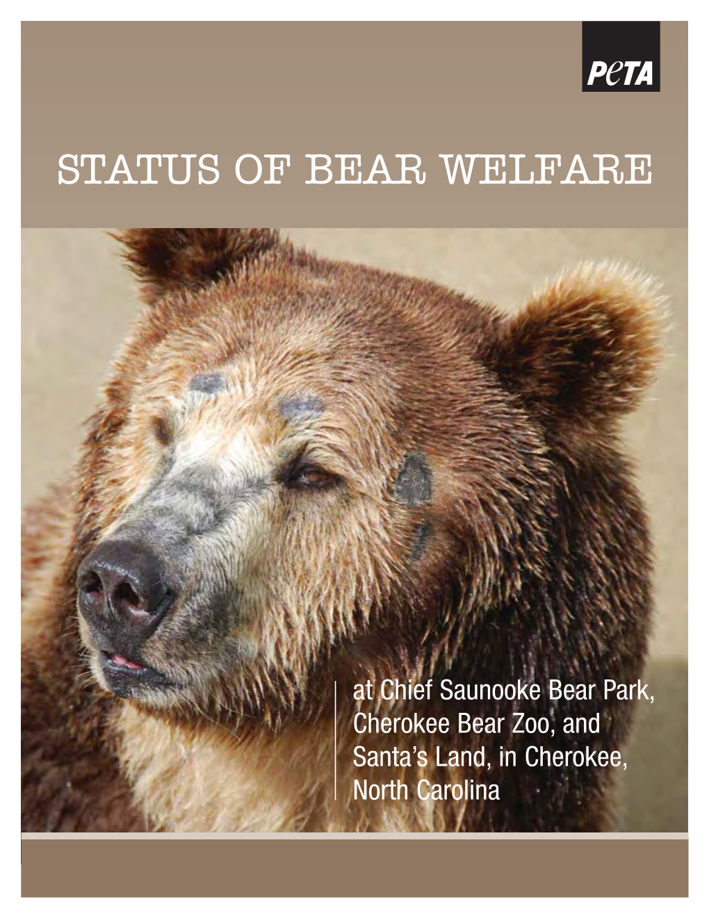 Status of Bear Welfare at Chief Saunooke Bear Park