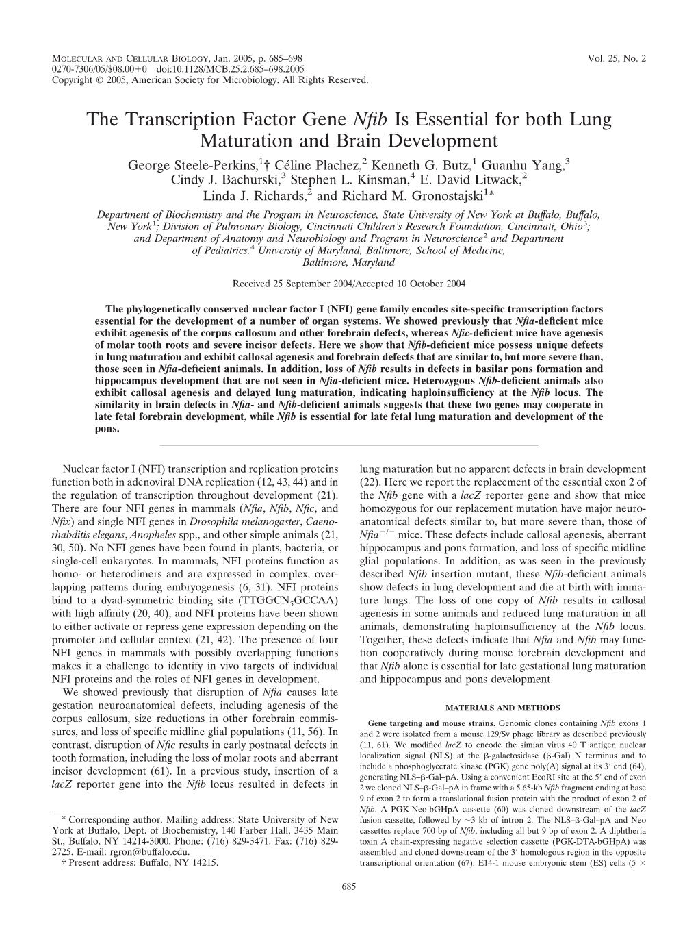 The Transcription Factor Gene Nfib Is Essential for Both