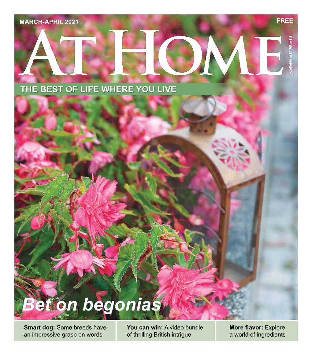 Bet on Begonias