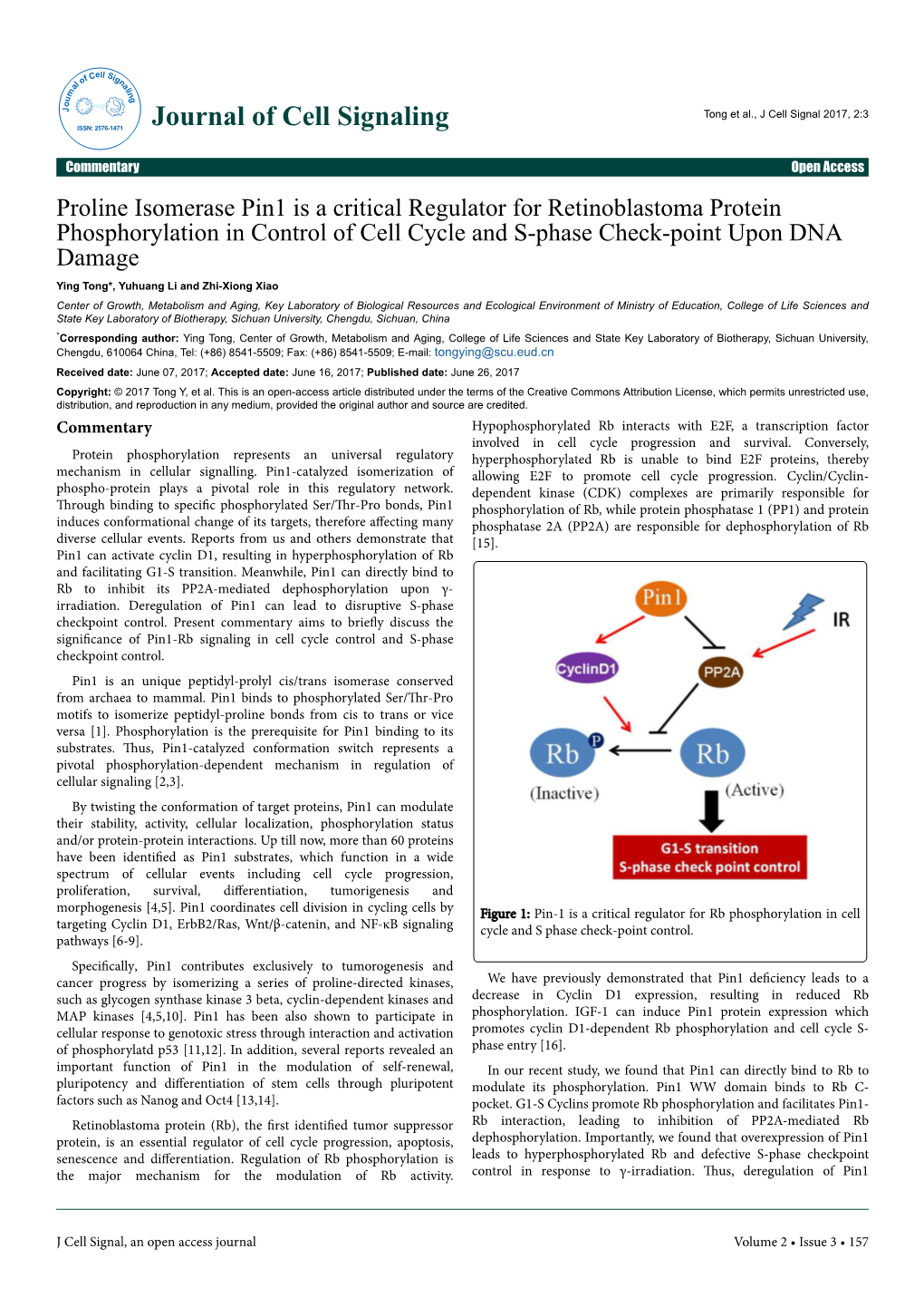 Proline Isomerase Pin1 Is a Critical Regulator for Retinoblastoma