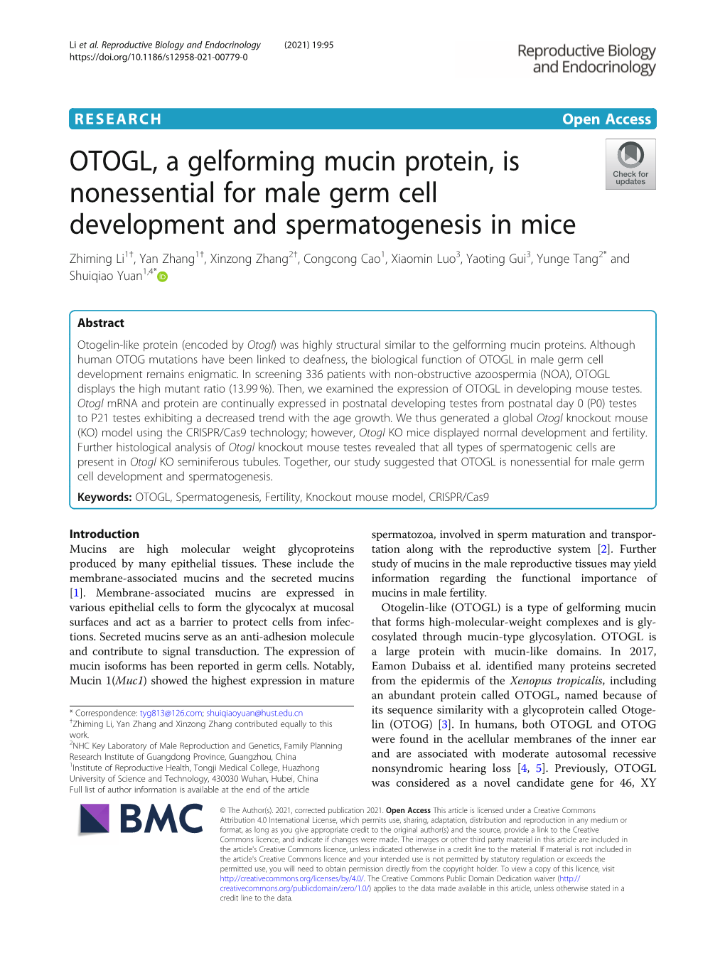OTOGL, a Gelforming Mucin Protein, Is Nonessential for Male Germ Cell