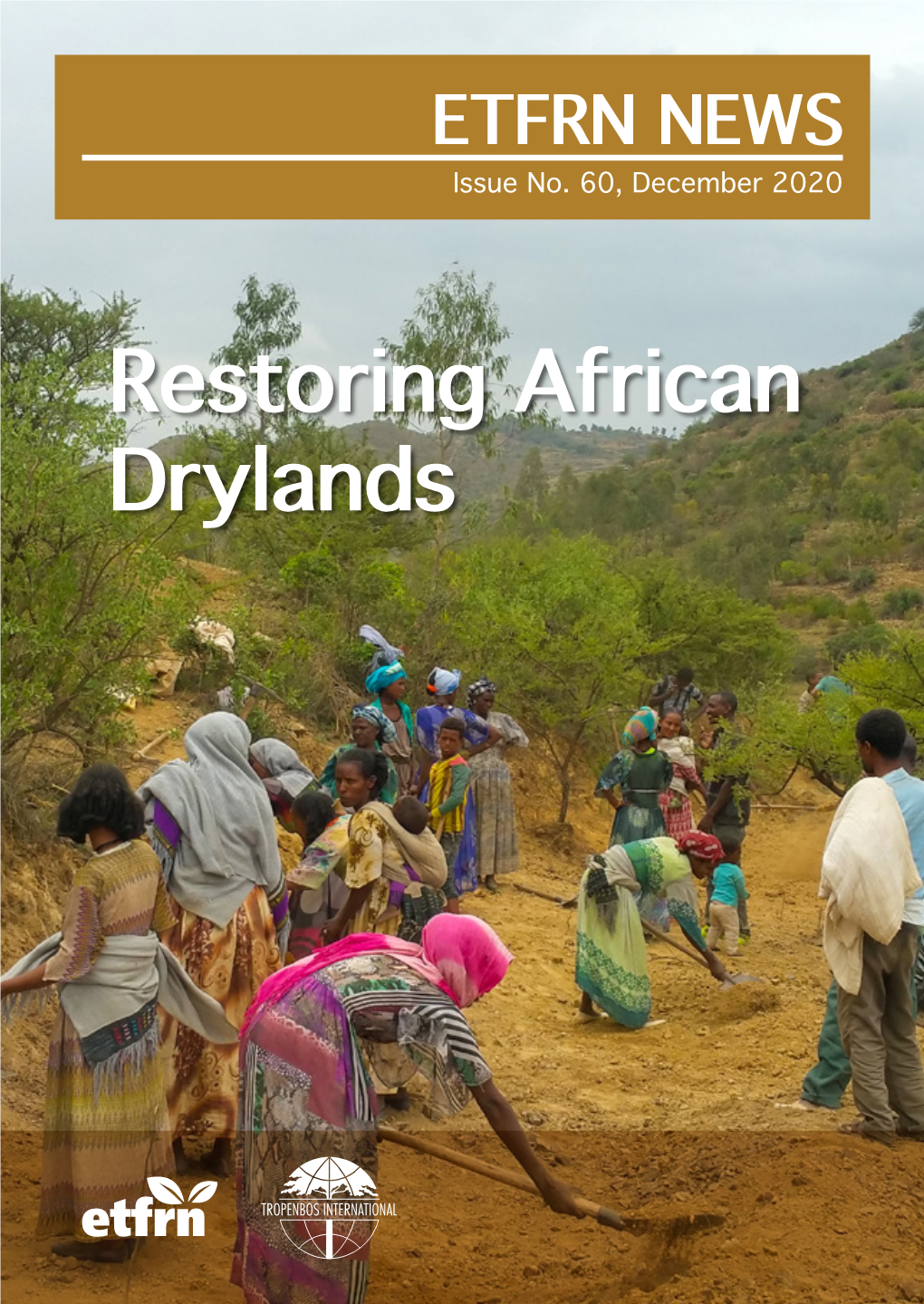 Restoring African Drylands