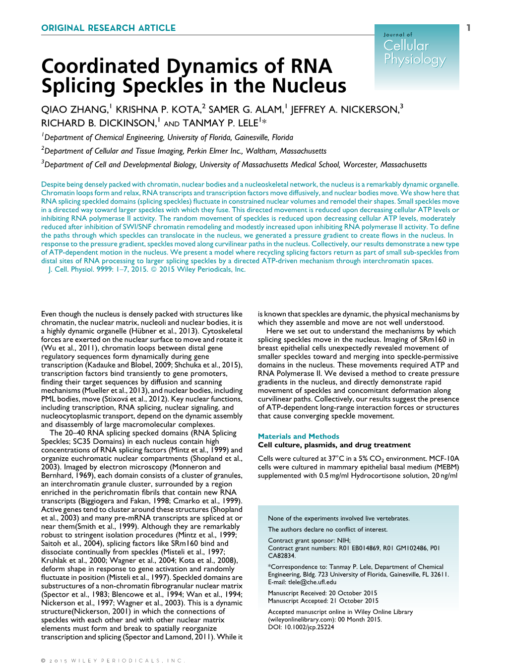 Coordinated Dynamics of RNA Splicing Speckles in the Nucleus