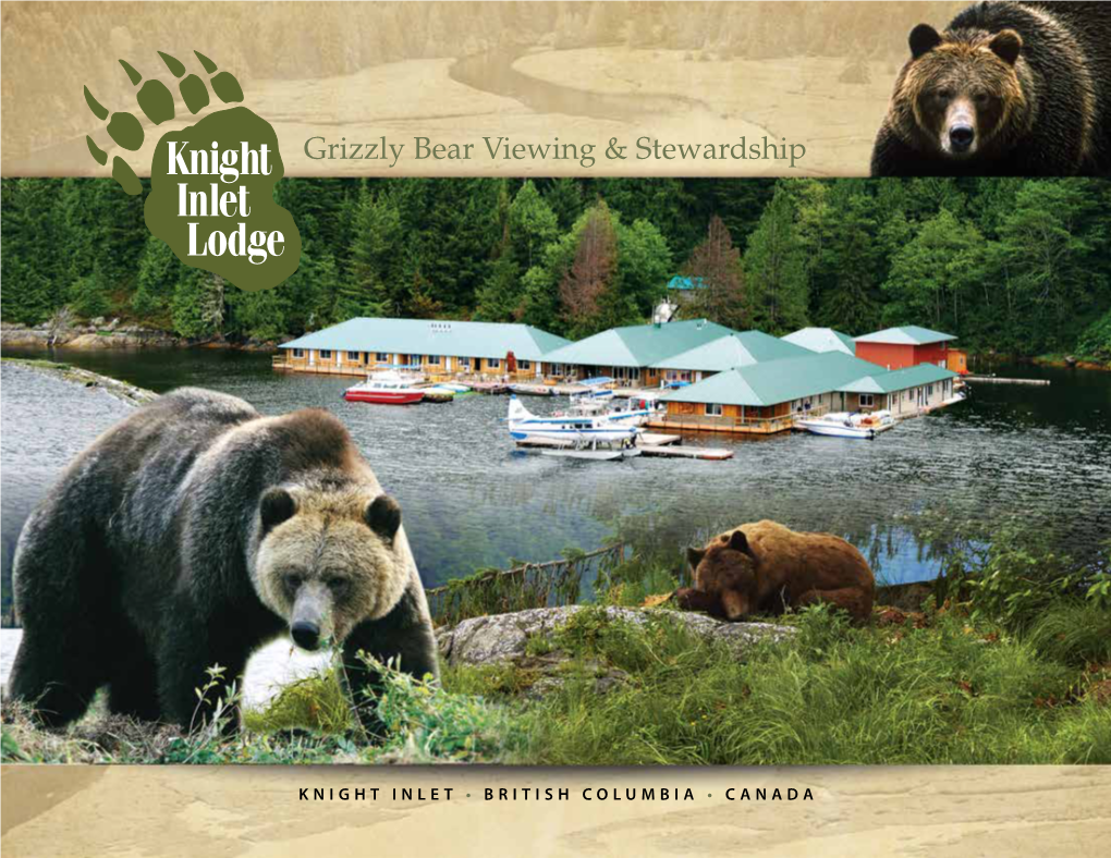 Grizzly Bear Viewing & Stewardship