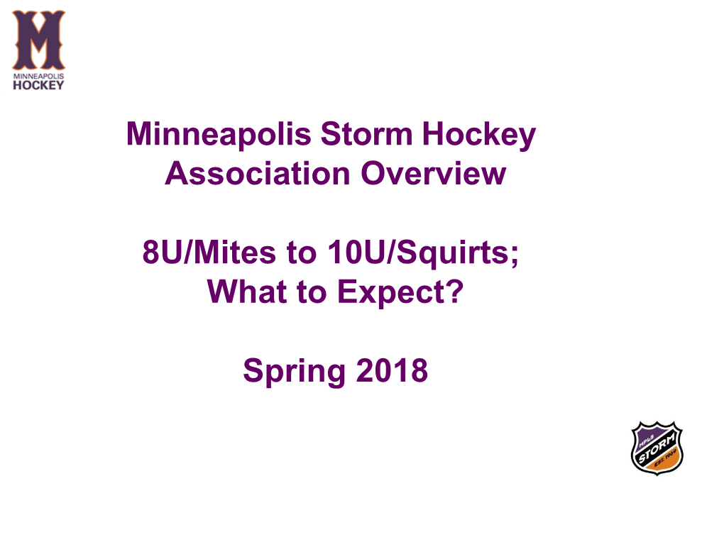 Minneapolis Storm Hockey Association Overview