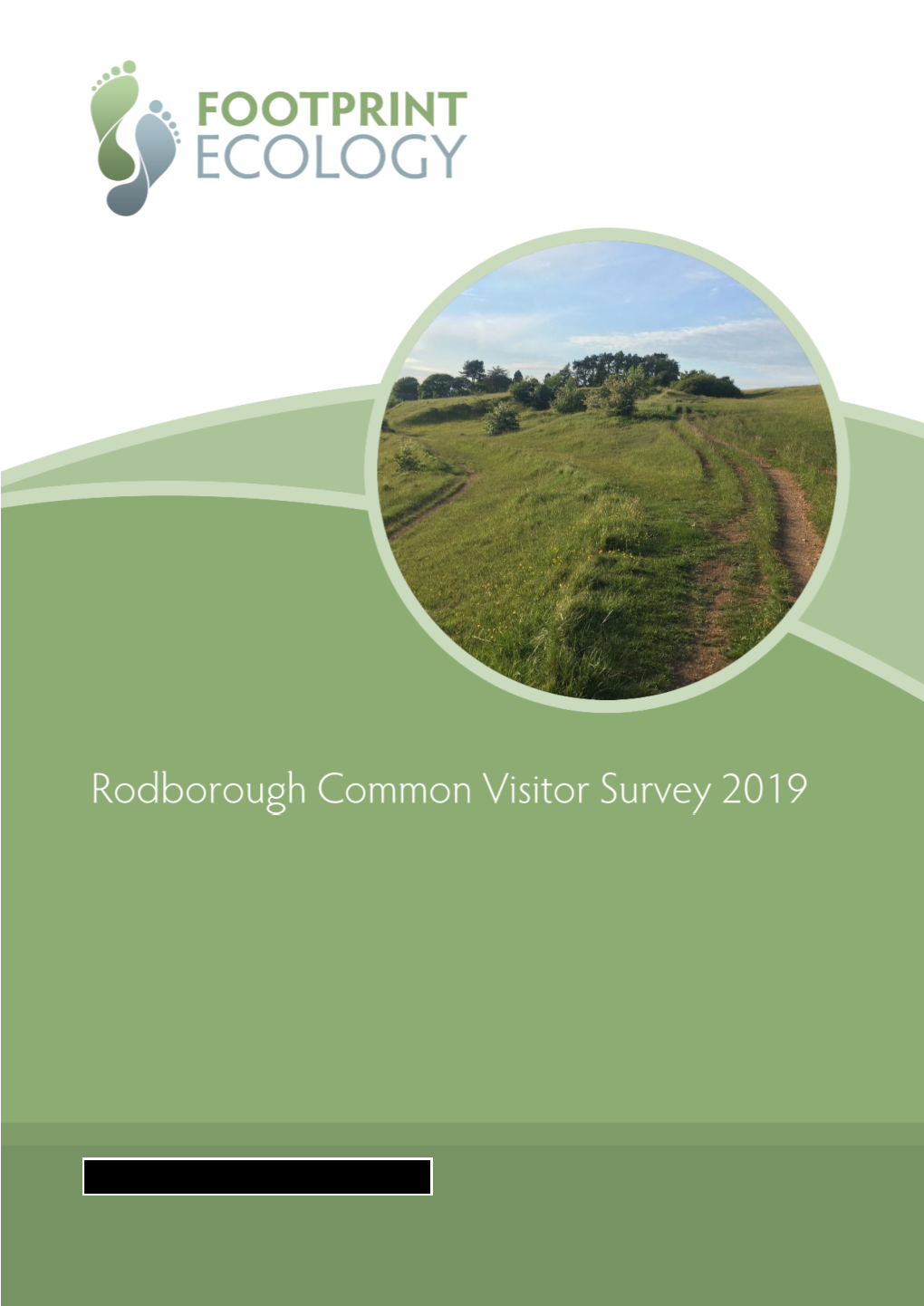 Rodborough Common Visitor Survey 2019