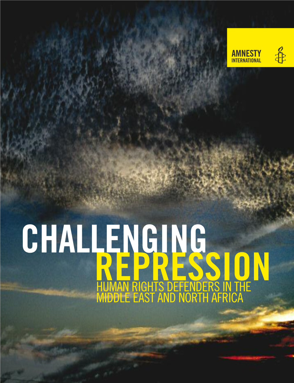 Human Rights Defenders in the Middle East and North Africa Challenging Repression Human Rights Defenders in the Middle East and North Africa