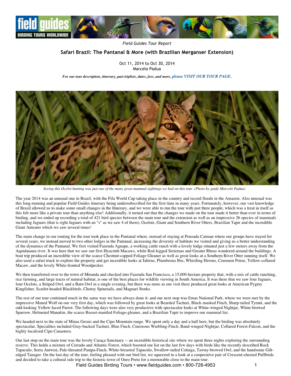 Safari Brazil: the Pantanal & More (With Brazilian