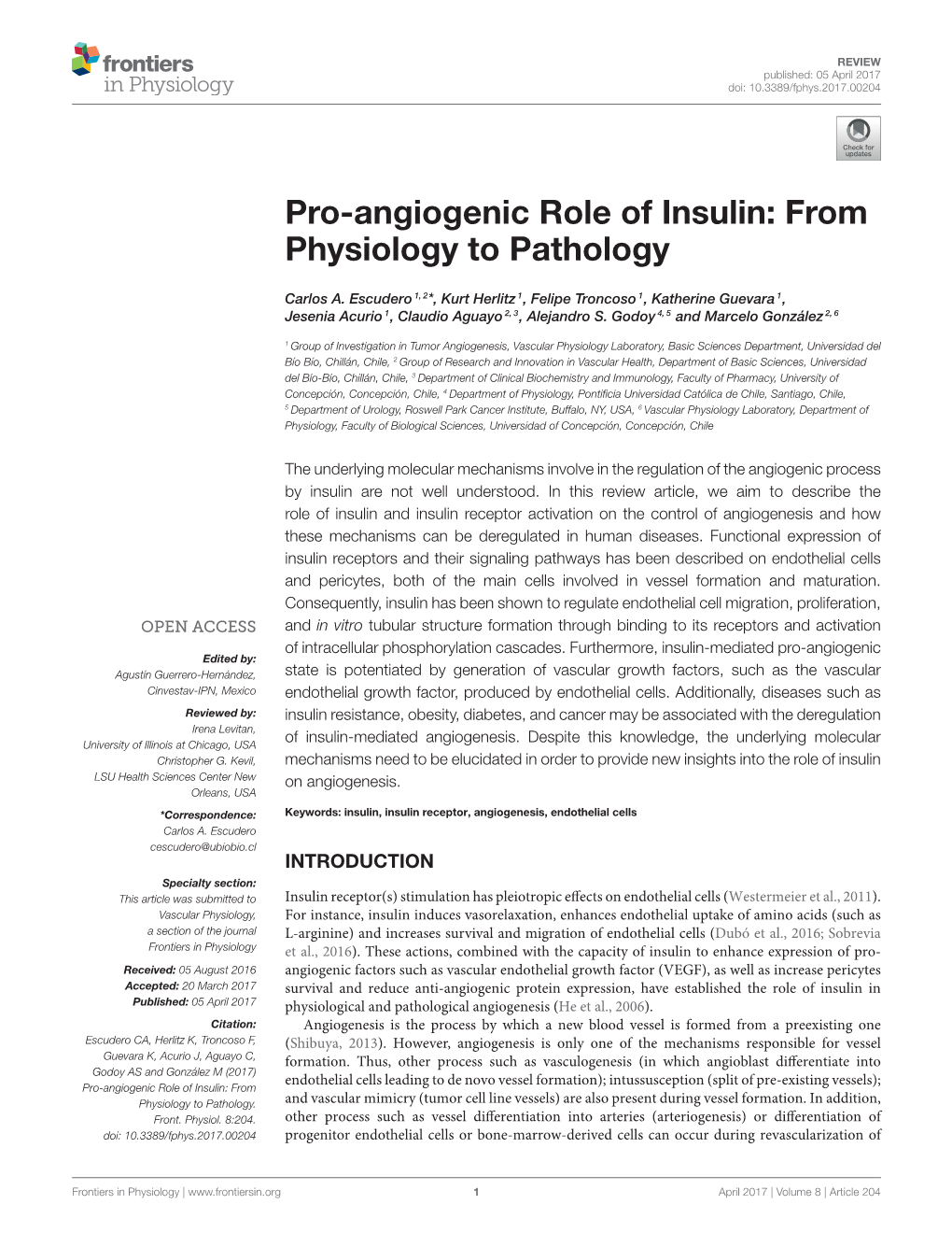 Pro-Angiogenic Role of Insulin: from Physiology to Pathology