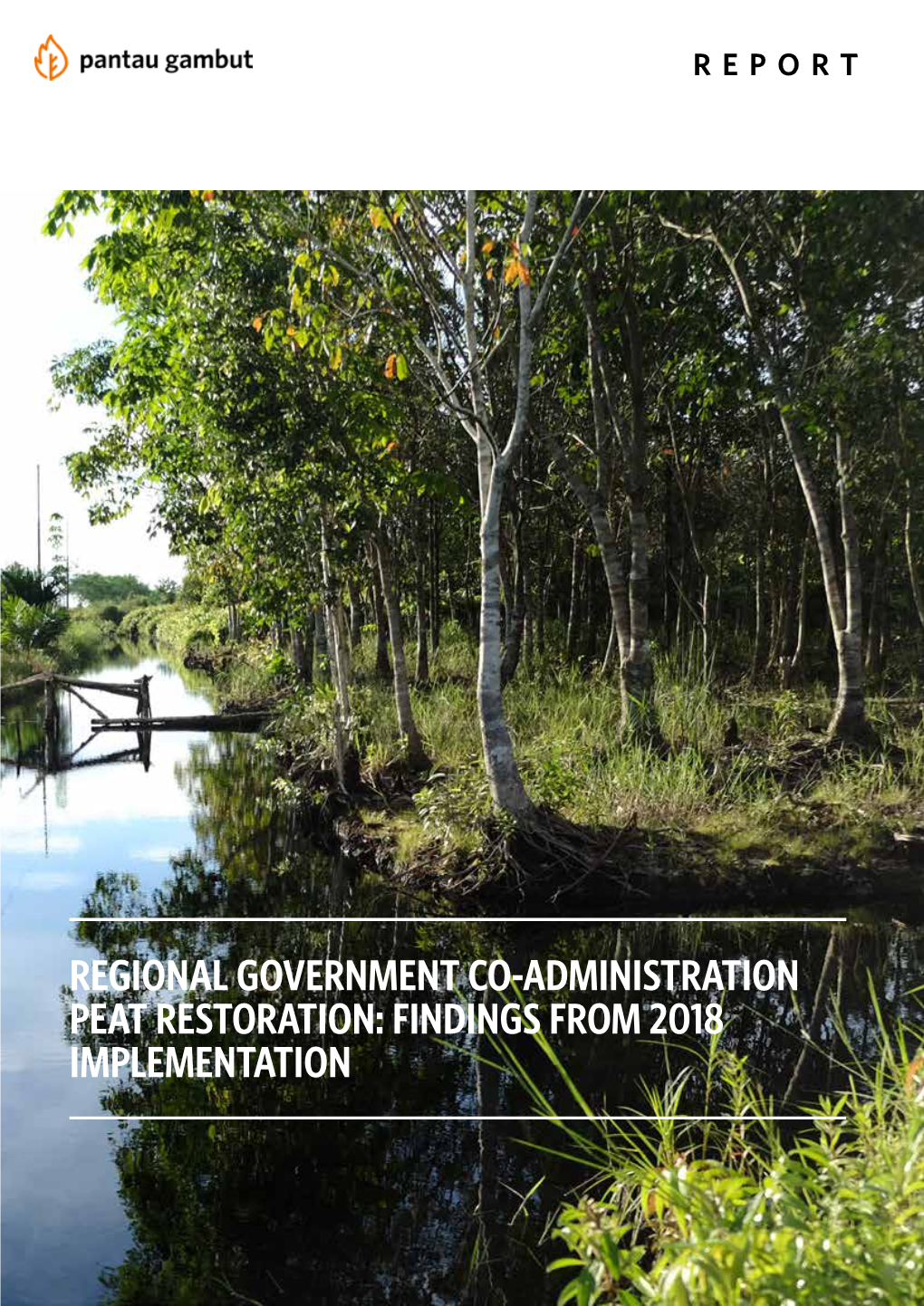 Regional Government Co-Administration Peat Restoration: Findings from 2018 Implementation Table of Contents
