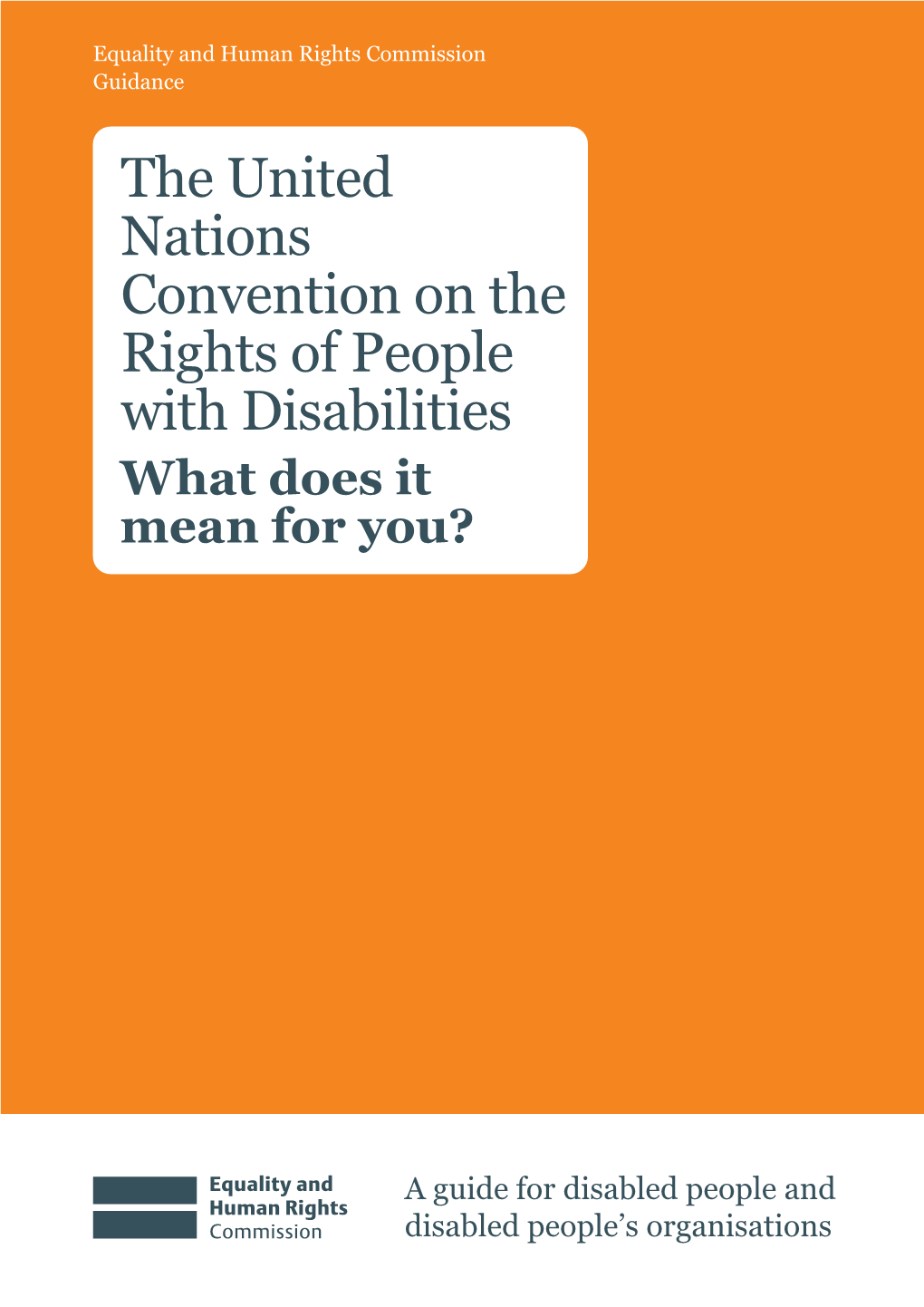 The United Nations Convention on the Rights of People with Disabilities What Does It Mean for You?