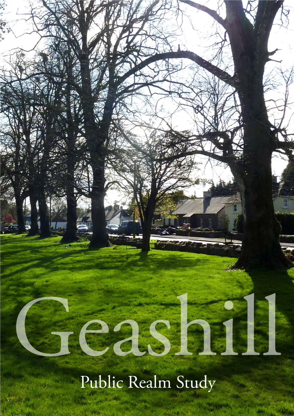 Public Realm Study May 2012 Introduction Geashill Is a Small and Beautiful Village in the Irish County of Offaly