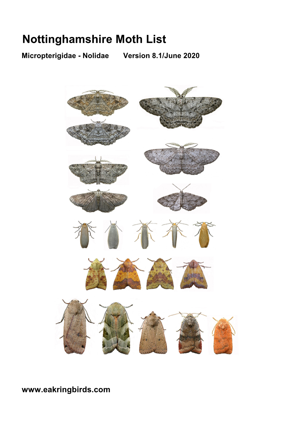 Nottinghamshire Moth List Micropterigidae - Nolidae Version 8.1/June 2020