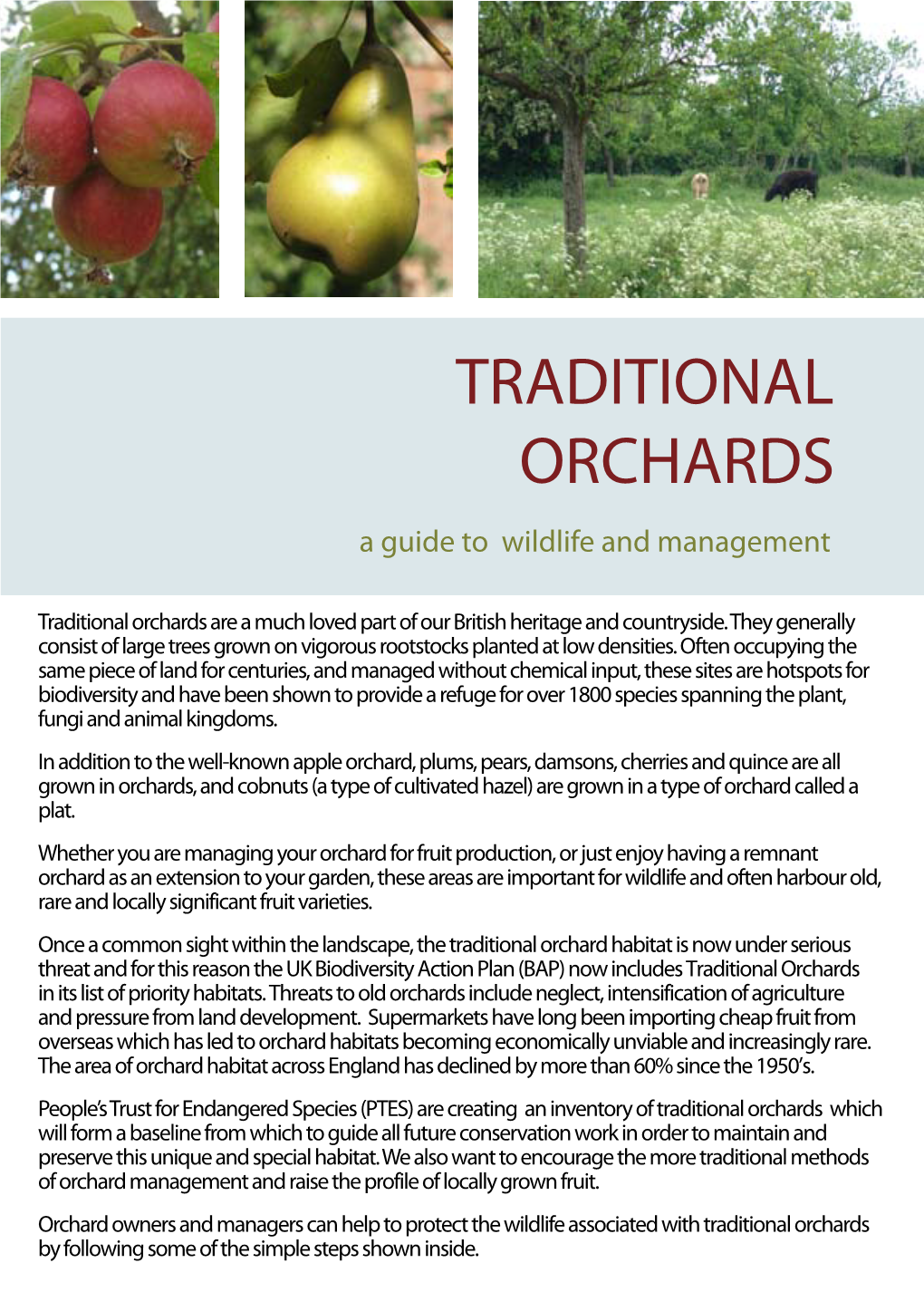 Traditional Orchards