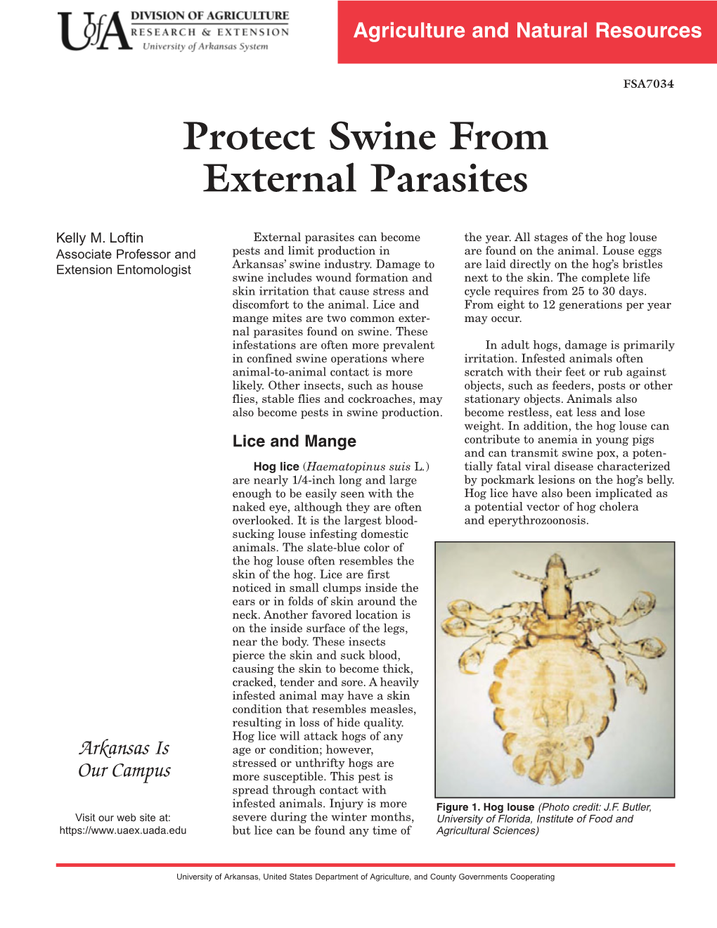Protect Swine from External Parasites