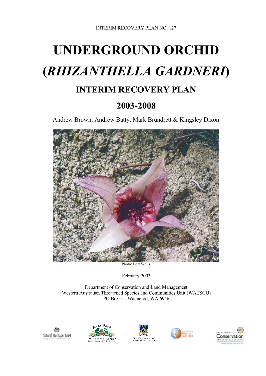 Underground Orchid (Rhizanthella Gardneri) Interim Recovery Plan 2003-2008