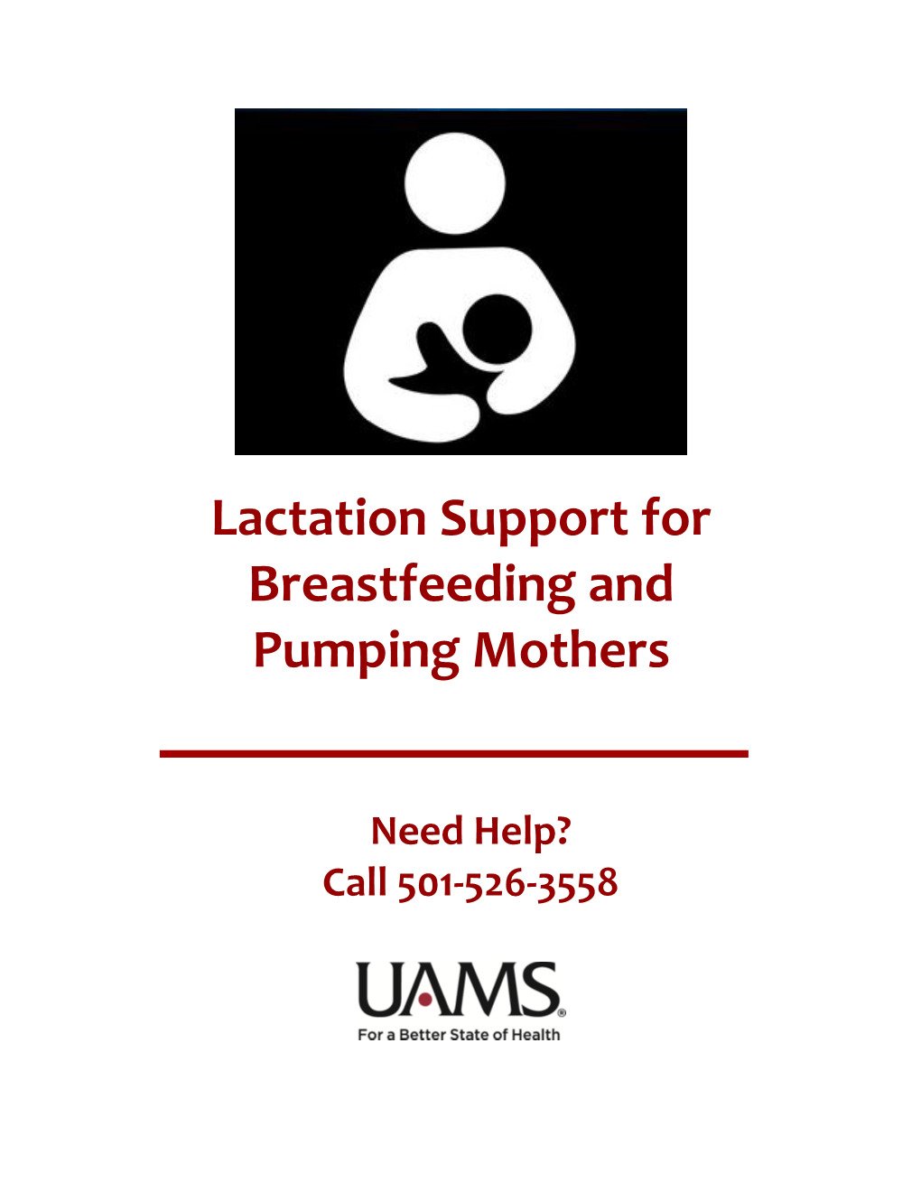 Lactation Support for Breastfeeding and Pumping Mothers