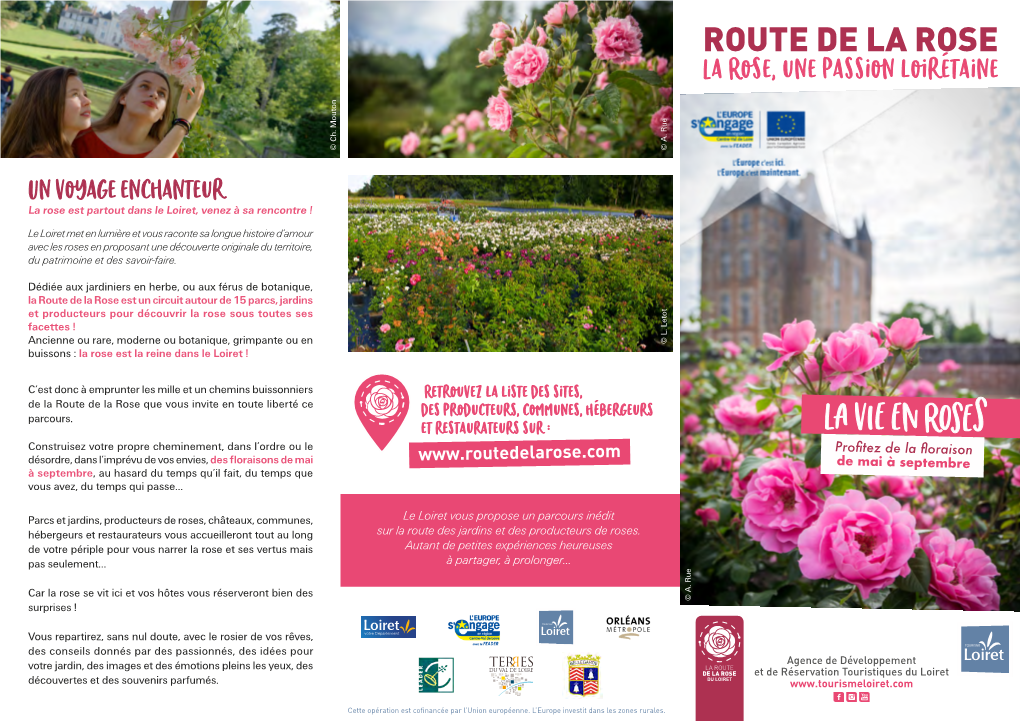 La Rose, Une Passion Loirétaine © Ch