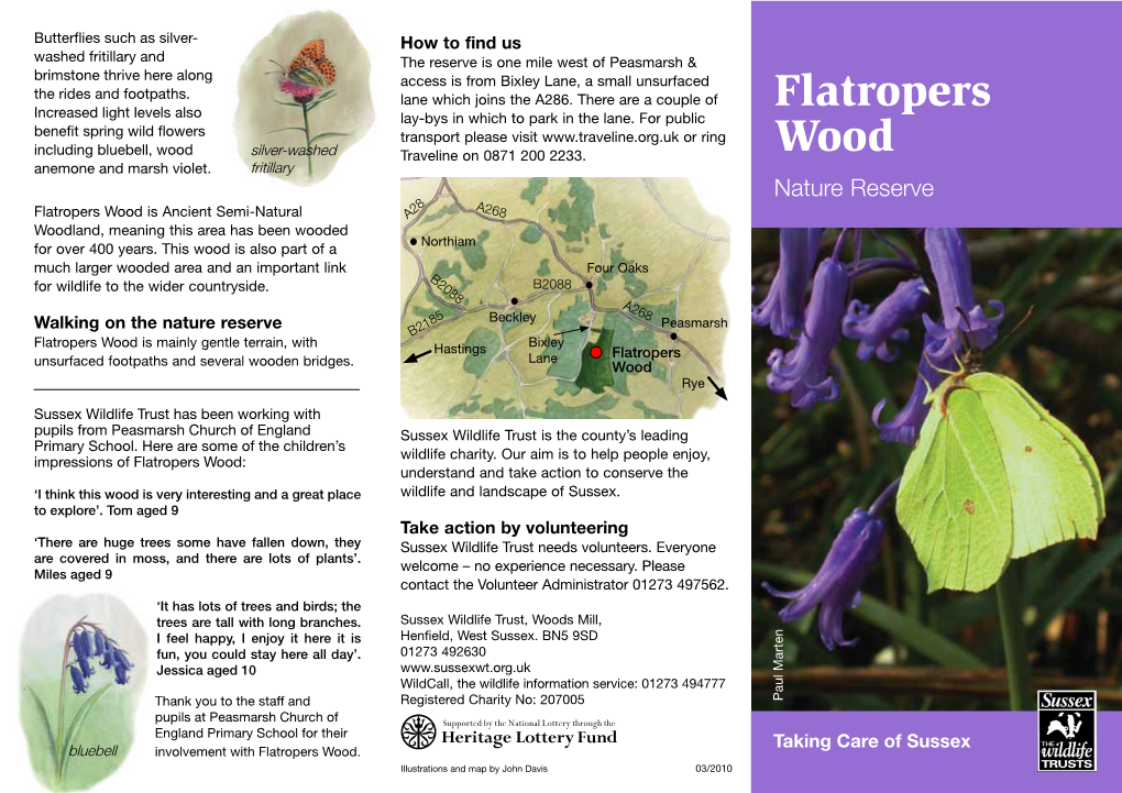 Flatropers Wood Is Ancient Semi-Natural A28 Woodland, Meaning This Area Has Been Wooded Northiam for Over 400 Years