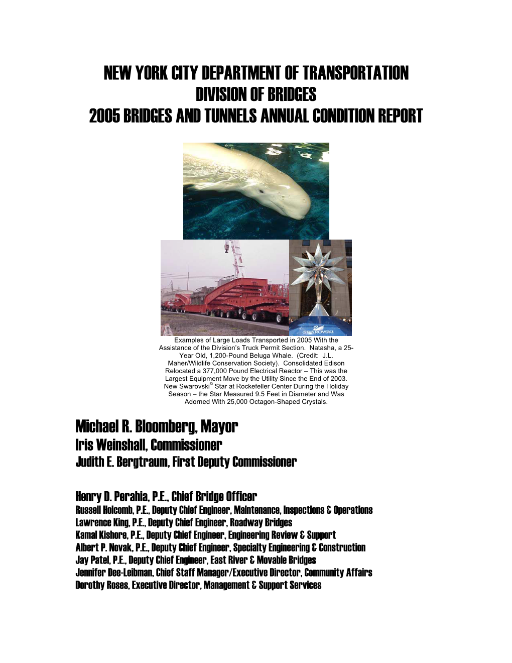 Download the Entire 2005 Report