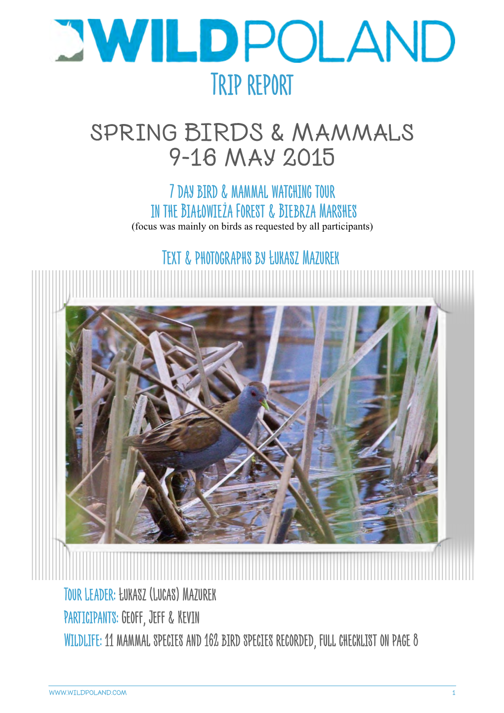 Spring Birds & Mammals of the Białowieża Forest